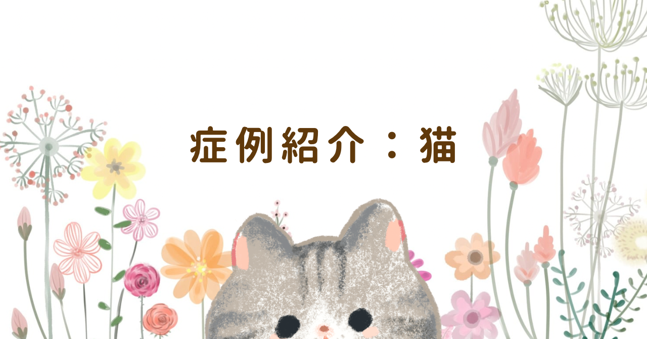 鼻腔内腫瘍（リンパ腫）