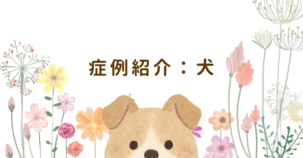 ステムキュア使用症例